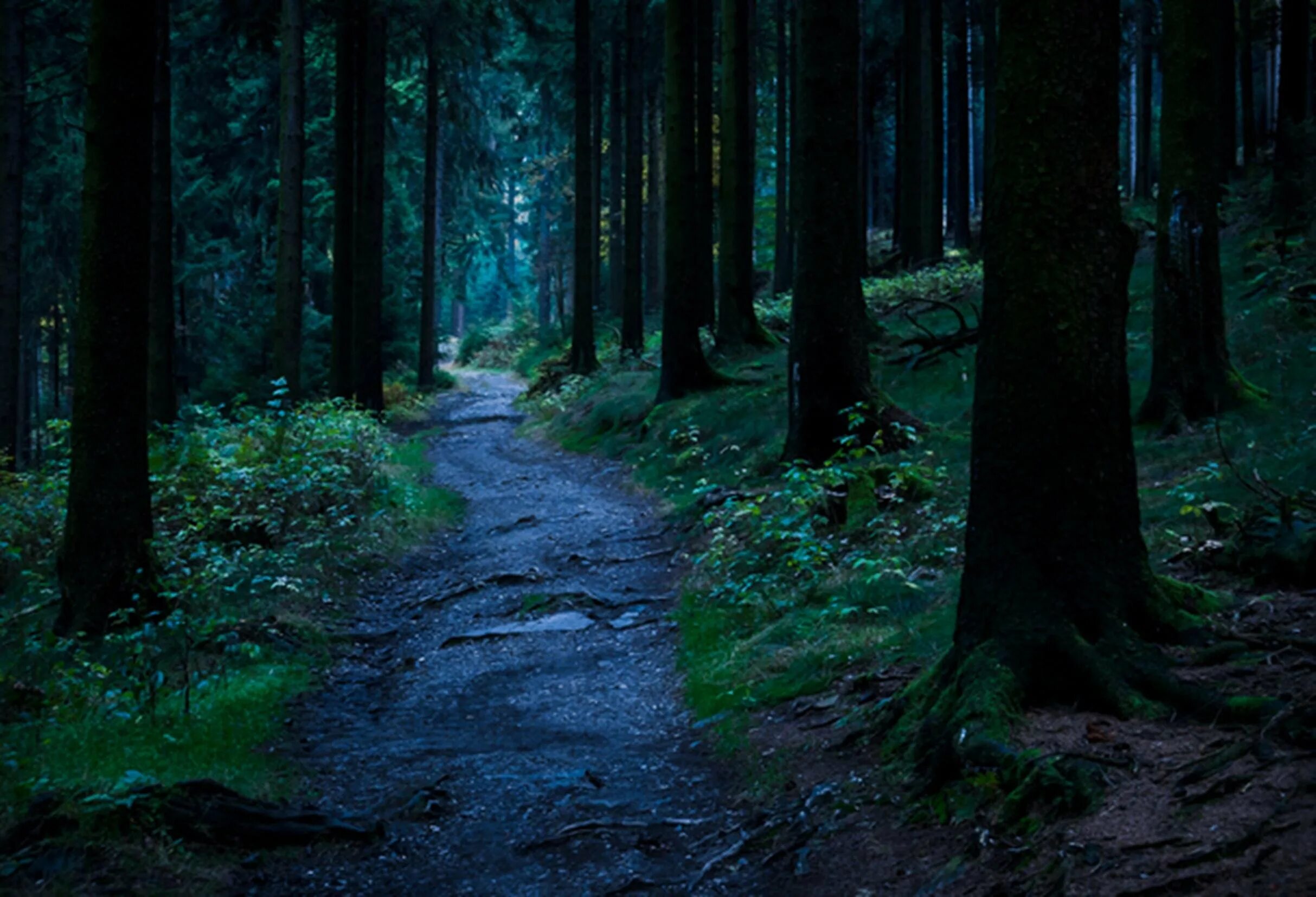 В глубине чаще. В глубине души люди хорошие просто глубина разная. Мексика сеноты дайвинг. Глубина души цитаты. Эмоциональное реагирование.