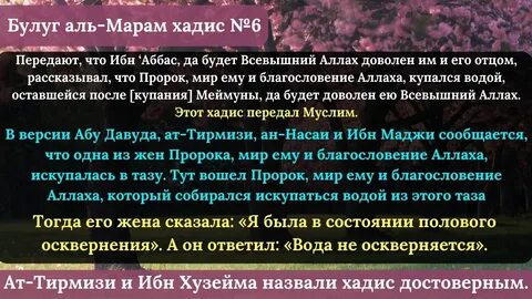 Хадис насаи