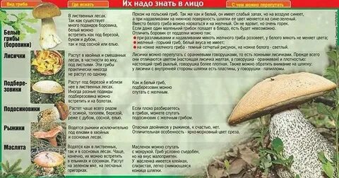 Сколько времени растут белые