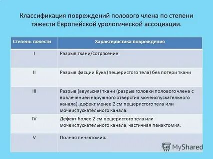 Классификация женских половых органов