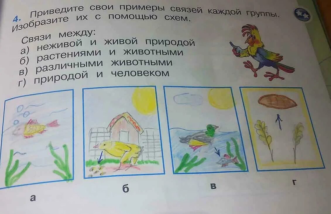 Выполни собственный подобный рисунок окружающий. Вязь между живой и не живой природой. Связь между живой и неживой природой. Связь между живой и неживой природой рисунок. Связь между природой и человеком рисунок.