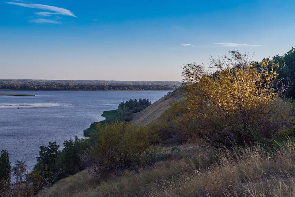 Кошели Саратовская область Воскресенский район Волга. Село Кошели Саратовская область. Село Кошели Воскресенский район. Село Кошели Воскресенский район Саратов. Кошели саратовская область