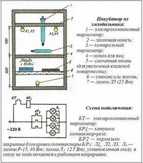 Стабилизатор температуры в инкубаторе