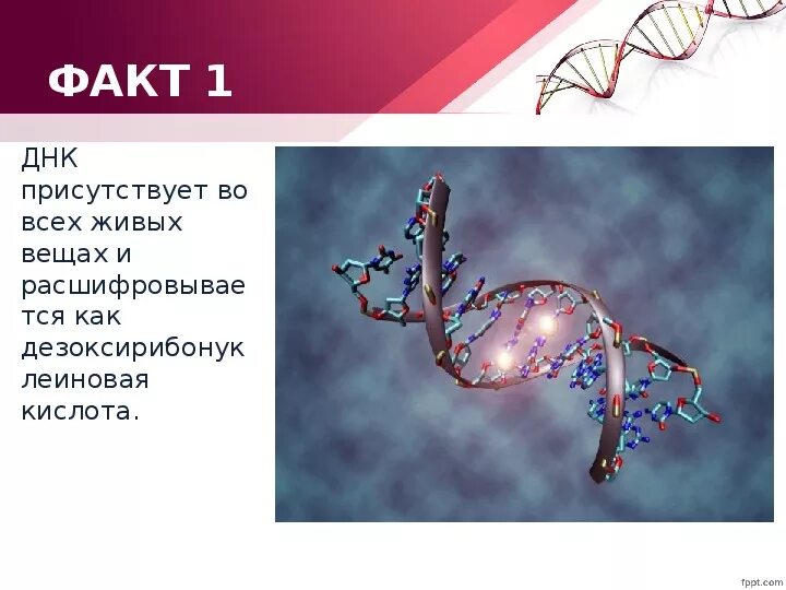 5 класс о днк нр. 5 класс о днк нр