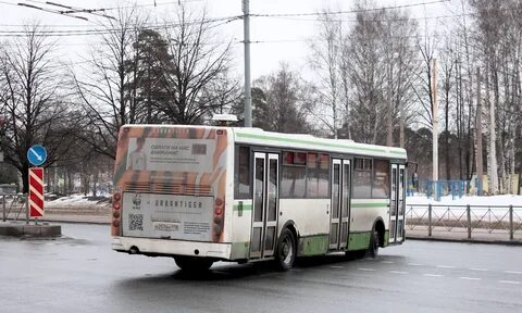 301 автобус спб