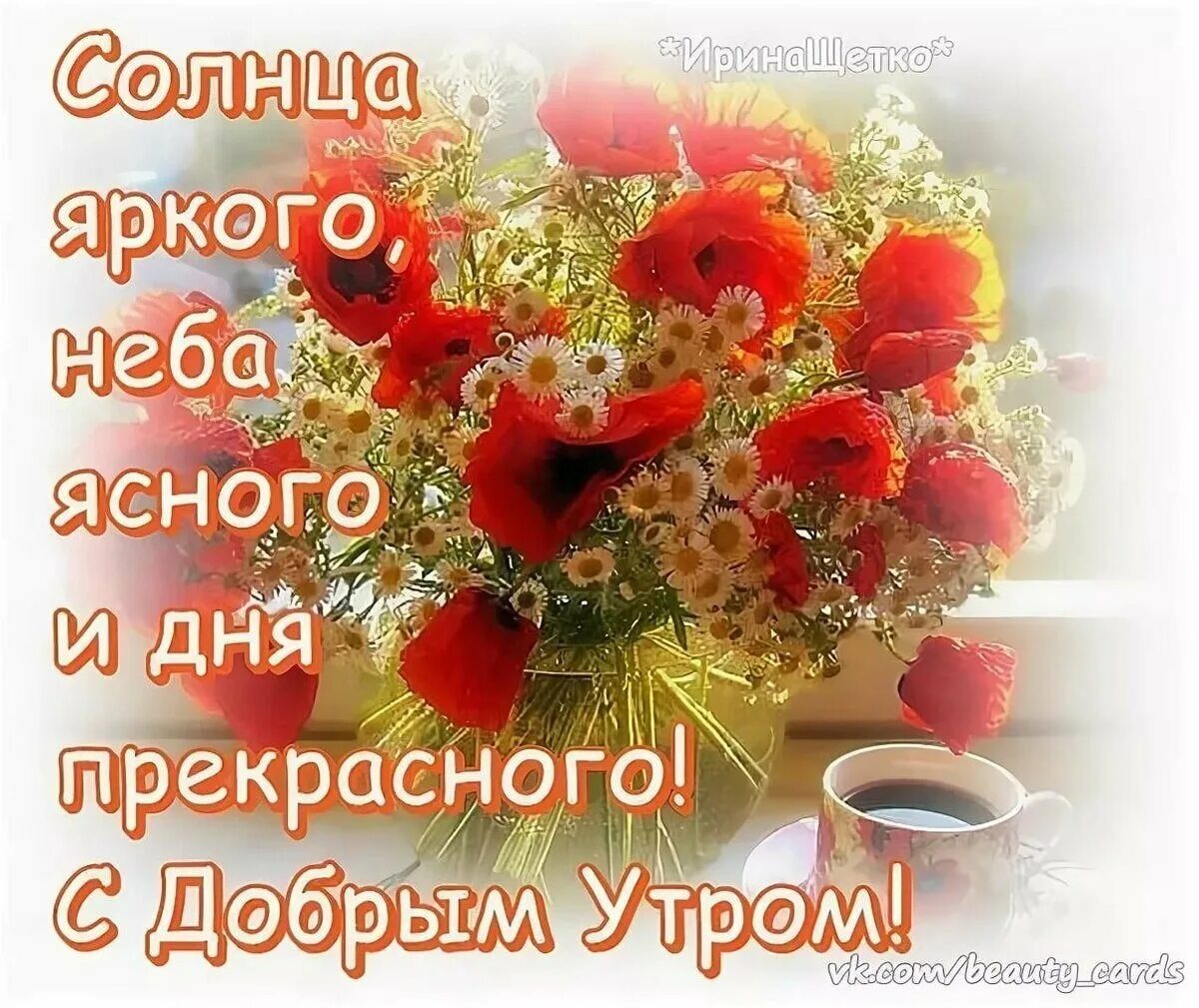 Доброго дня прекрасного настроения здоровья. Доброе утро прекрасного дня. Открытки с прекрасным утром. Красивые и добрые пожелания с добрым утром. Открытки с самым прекрасным утром.