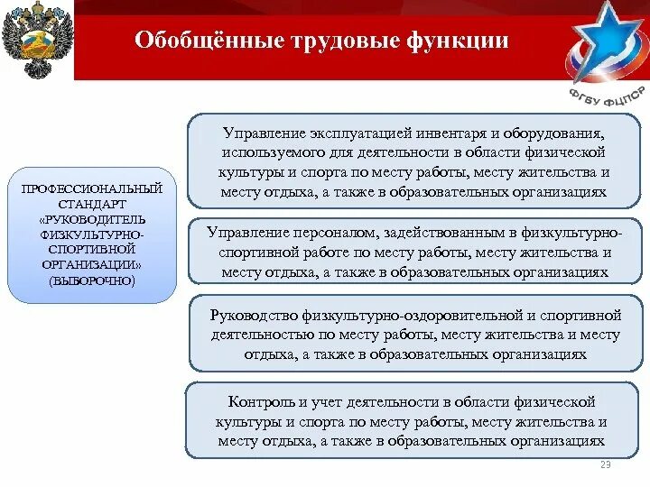 Функции руководителя спортивной организации. Обобщенные трудовые функции профстандарта. Функции персонала физкультурно-спортивной организации. Деятельность руководителя физкультурно-спортивной организации. Руководитель спортивной организации