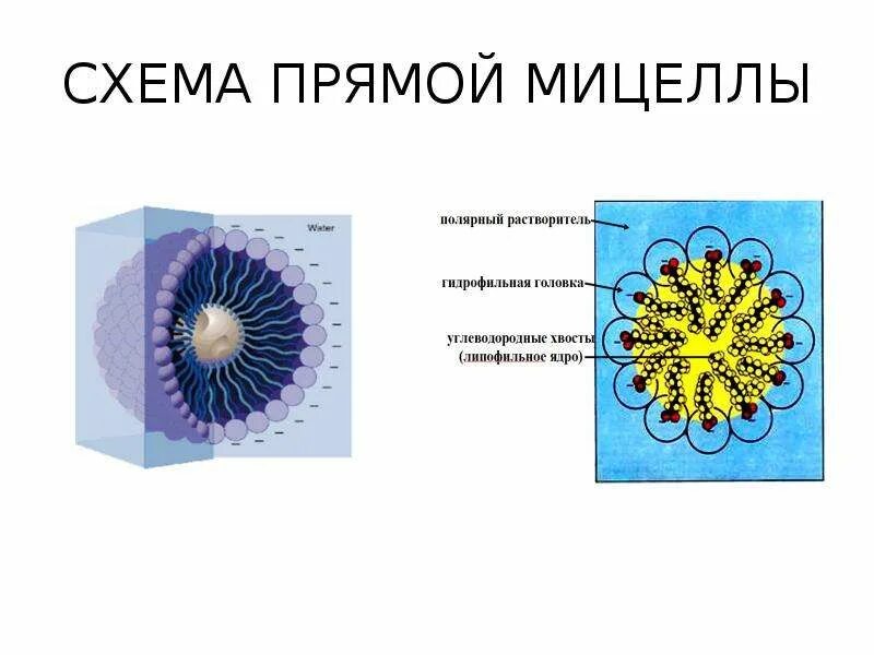 Пленки Лэнгмюра - Блоджетт - презентация, доклад, проект скачать