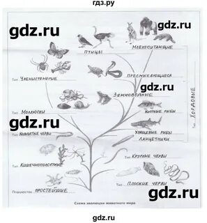 Биология 7 класс шаталова