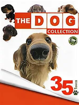 The Dog collection такса. Журнал the Dog collection обложки. The Dog collection выпуск 35. Плюшевые игрушки the Dog collection такса. Collection 35