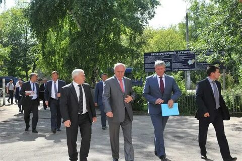 Глава м р