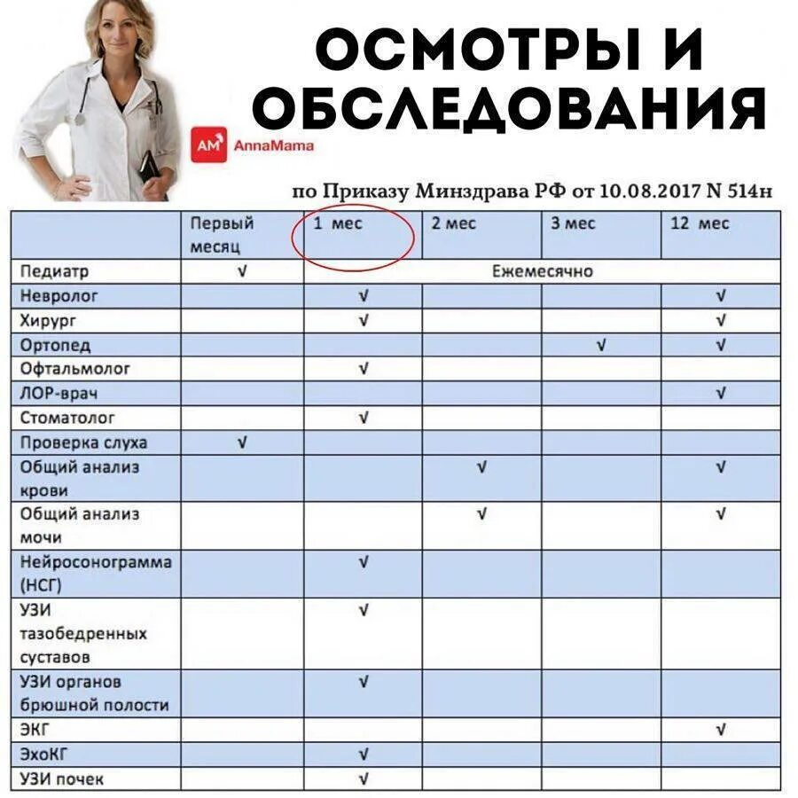 Каких врачей нужно проходить в первый класс. Осмотр ребенка по месяцам. Обследование ребенка в месяц. Обследования в первый год жизни ребенка. Каких врачей нужно пройти ребенку.