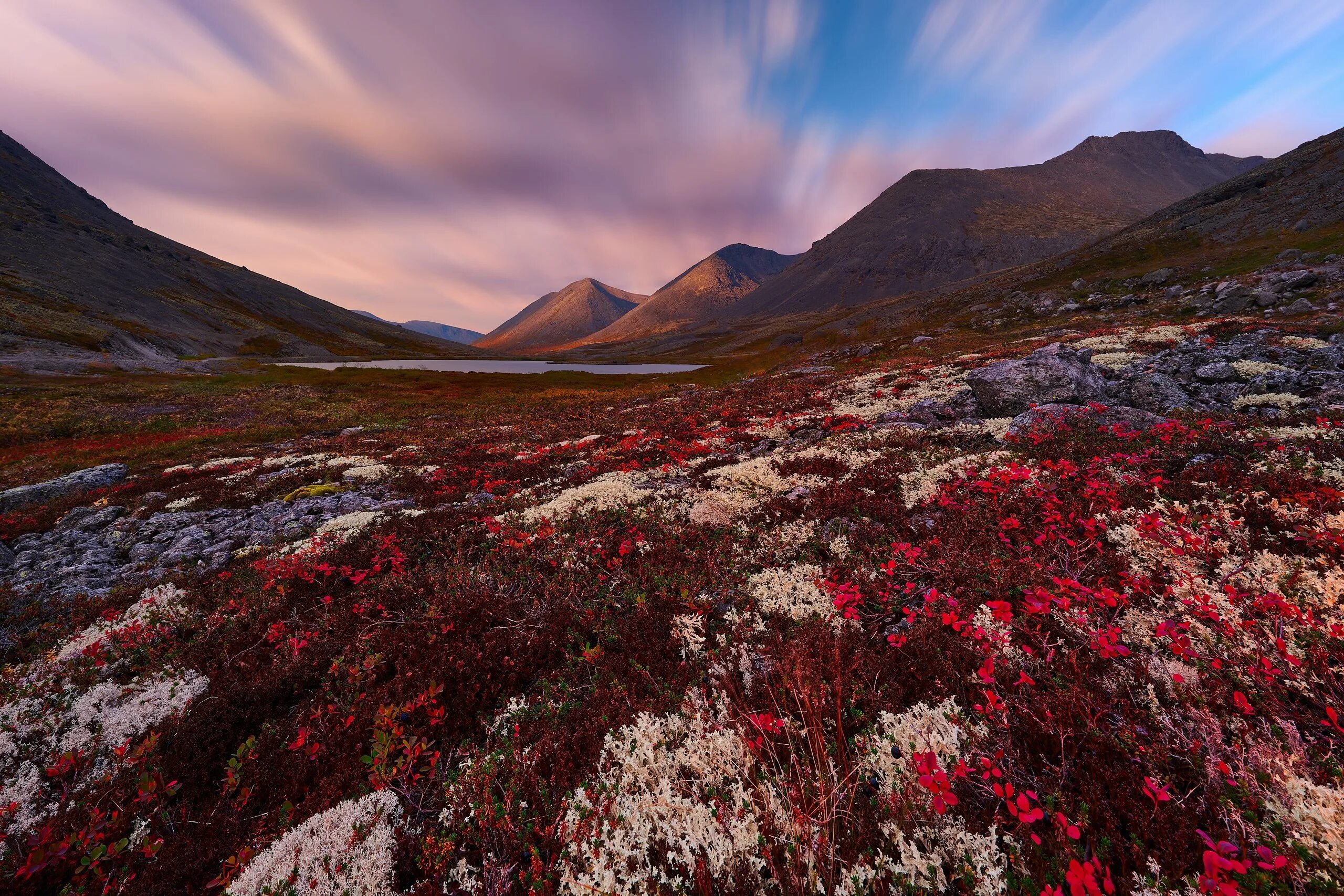 Хибины тундра. Хибины тундра. Хибины кольский полуостров. Кольский полуостров горы хибины. Кольский полуостров хибины тундры.