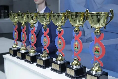 Новогодняя премия 2024