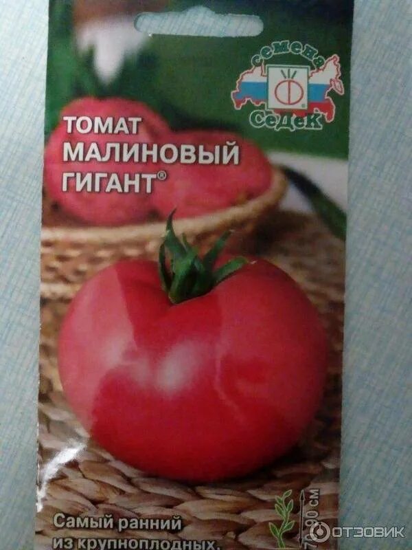 Томат розовый гигант описание сорта фото. Помидоры сорт малиновый гигант седек. семена томат малиновый гигант. семена седек гигант помидоры томаты. седек томат малиновый ранний.