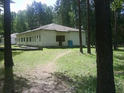 Лагерь колосок