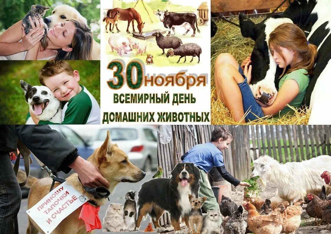 День домашних животных. 30 Ноября день домашних животных. Всемирный день домашних питомцев. День домашних животных открытки.