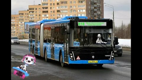 Автобус 818
