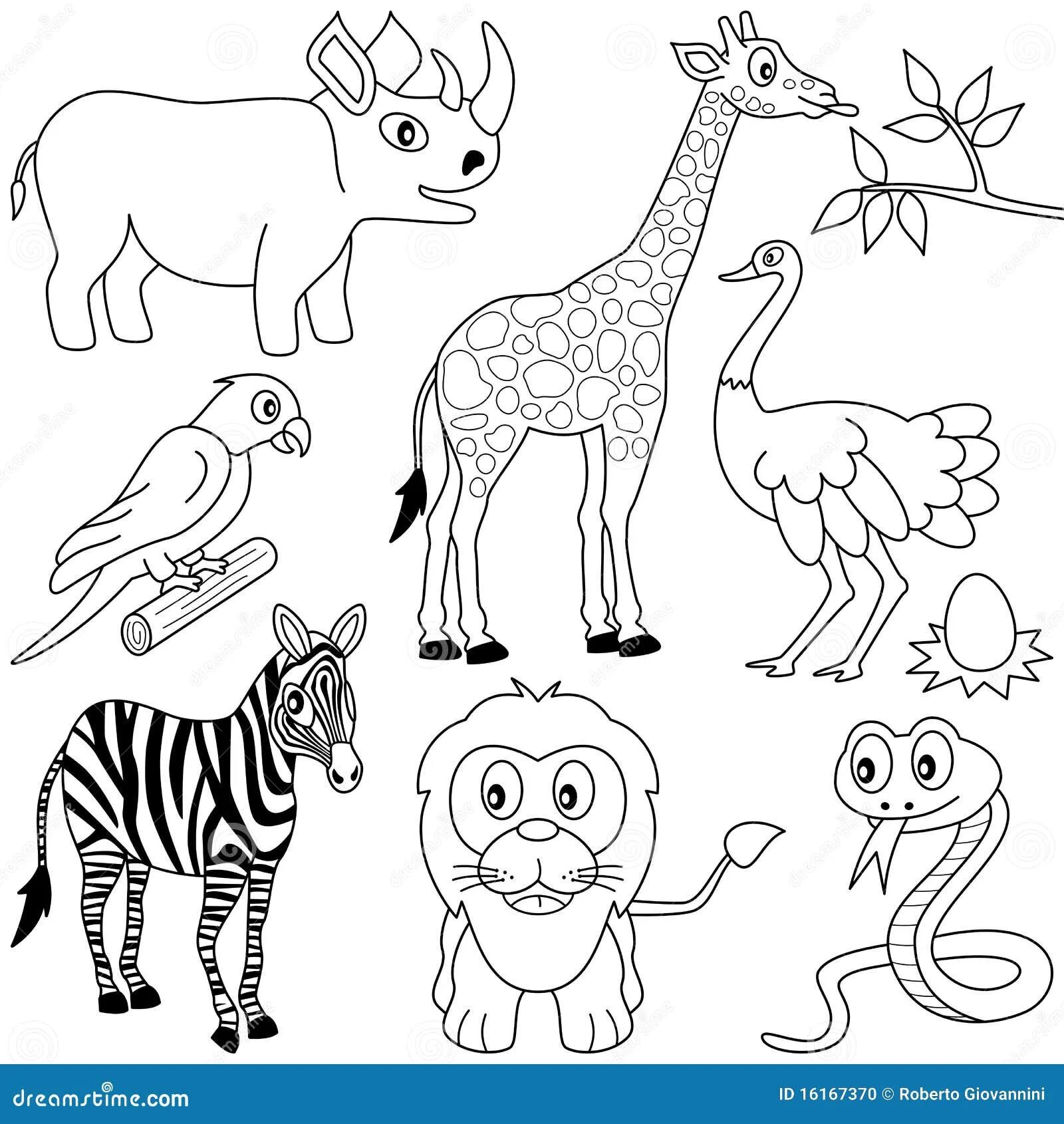 Рисуем животных зоопарка. Раскраски животные для детей. Африканские животные раскраска. Раскраска африканские животные для детей. Африка раскраска для детей.
