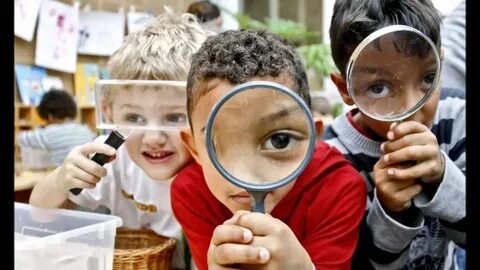 Eyes education