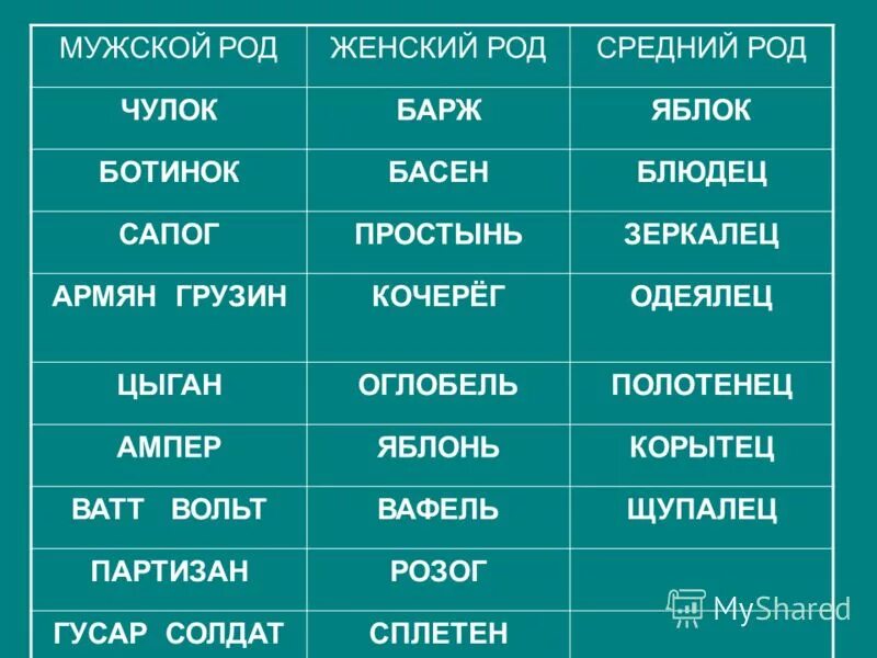 Врач мужской род