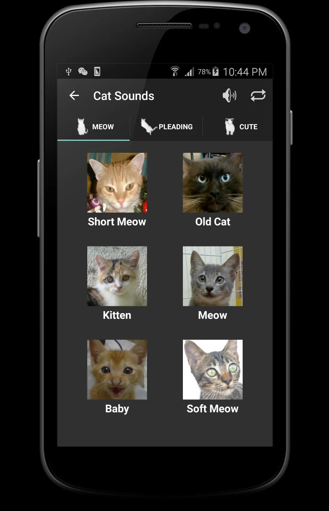 Приложение cats. Котики приложения. разные приложения с котиками. приложение для котов. котики с приложением мобильным.