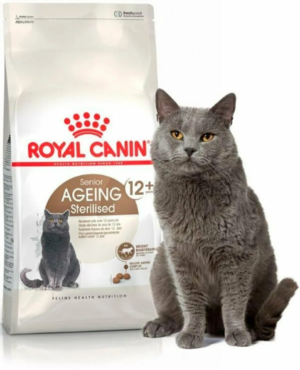 Роял канин эйджинг +12 для кошек. Сухой корм для кошек ageing 12. Кошки к роял канин 12 лет. Роял канин для кошек 12+ подушечки. Роял канин для пожилых кошек 12=.