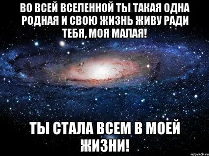Песня ты моя целая вселенная автор песни