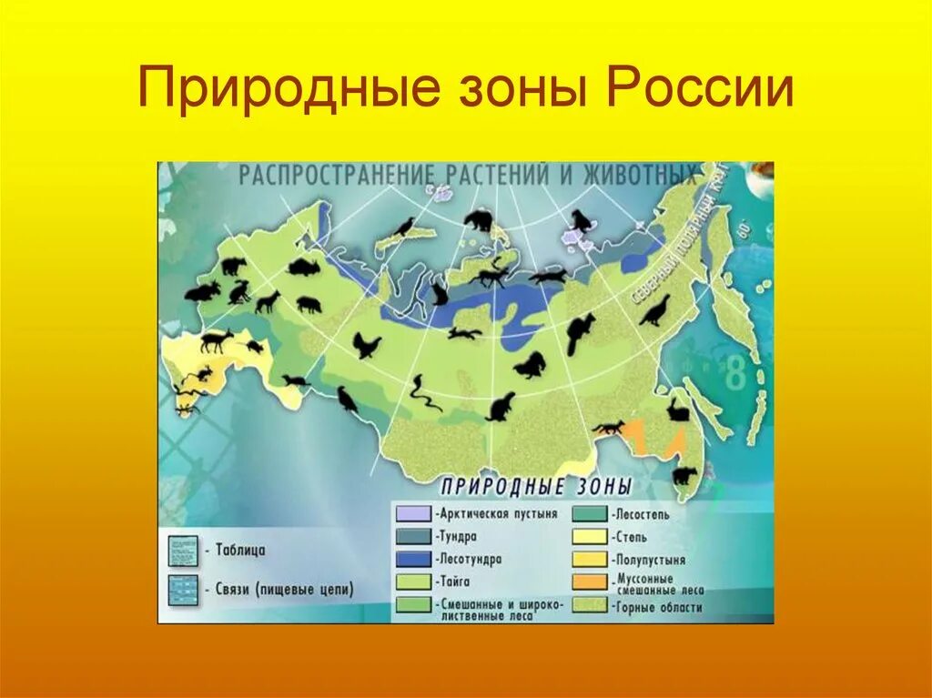 Природные зоны 5 класс презентация. Природные зоны России. Проиподгные зоны Росси. Карта природных зон. Зона природных зон России.