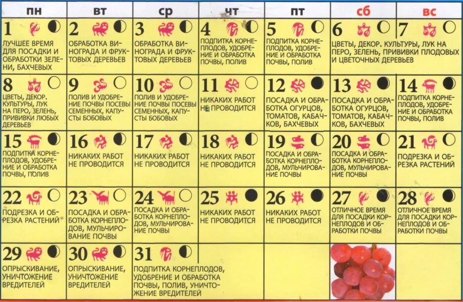 Календарь посадок. Лунный календарь наьмай. Лунный посевной календарь. Лунный календарь на май посевной. Календарь садовода 2017