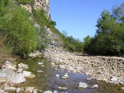 Барабаш приморский край