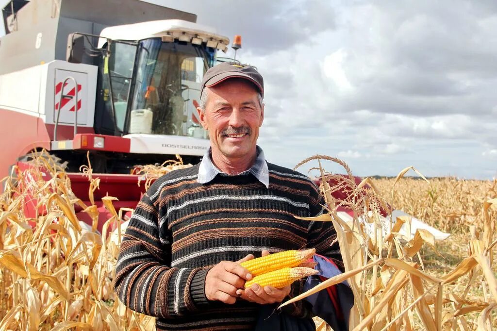 Фермер заработок. Водитель комбайна. Сколько зарабатывают комбайнеры. Водитель комбайна. Сколько зарабатывают комбайнеры.