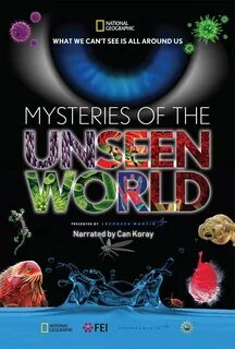 Unseen world