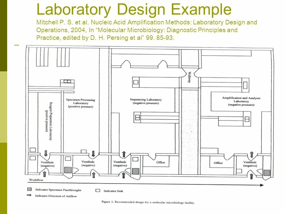 Laboratory methods. План лаборатории. microbiology laboratory design. lab схема. microbiology laboratory layout design.
