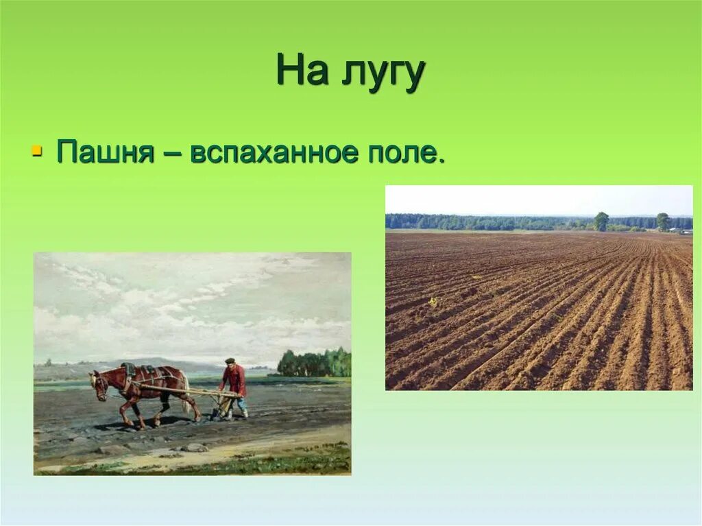 Что значит пашня. Пашня. вспаханное поле. пашня это 2 класс. луг и пашня.