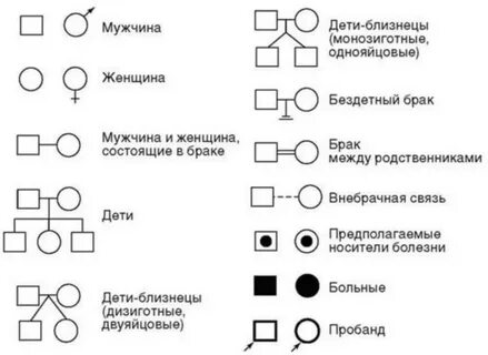 На схемах родословных женщину обозначают