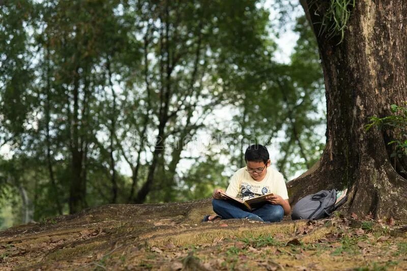 Sit under the tree. Sit under the tree