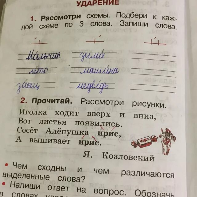 Щука ударение. Поставить ударение 1 класс. Рассмотри схемы Подбери к каждой схеме по 3 слова запиши слова. Подбери и запиши слова к каждой схеме. Ударение по схеме в 1 классе.