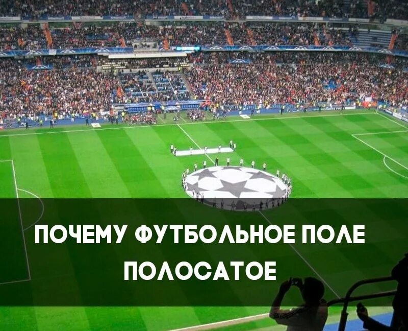 Почему полосы на футбольном поле разного цвета. Полосатое футбольное поле. спонсоры футбола. почему футбольное поле полосатое. почему газон на футбольном поле полосатый.