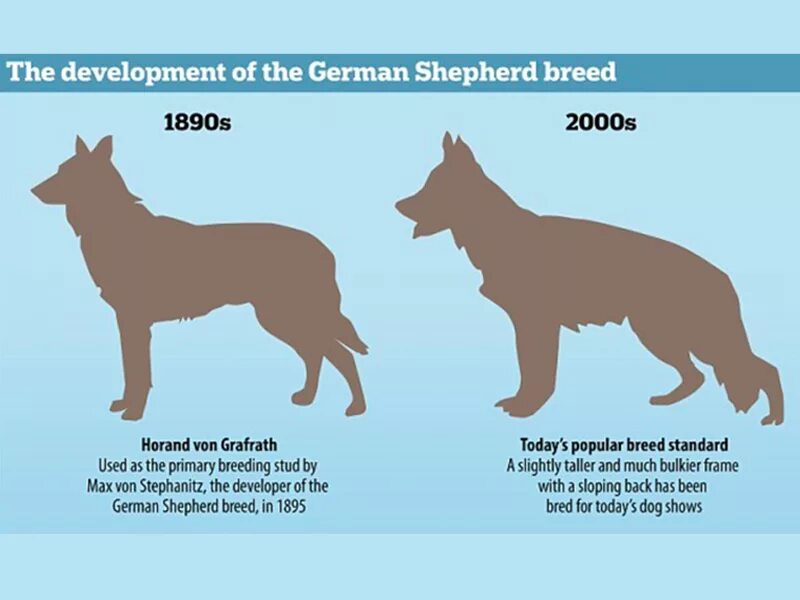 Этикетка на одежде. Gsd бренд чей. Adidas seeley court. Gsd бренд чей. Джинсы next мужские.