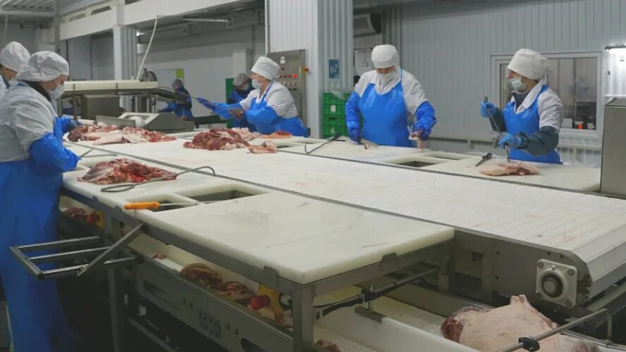 Восточный мясокомбинат сарапул. Сарапульский мясокомбинат сарапул. Сарапульский мясокомбинат сарапул. Восточный мясокомбинат. Мясокомбинат сарапул.