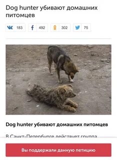 Hunter перевод
