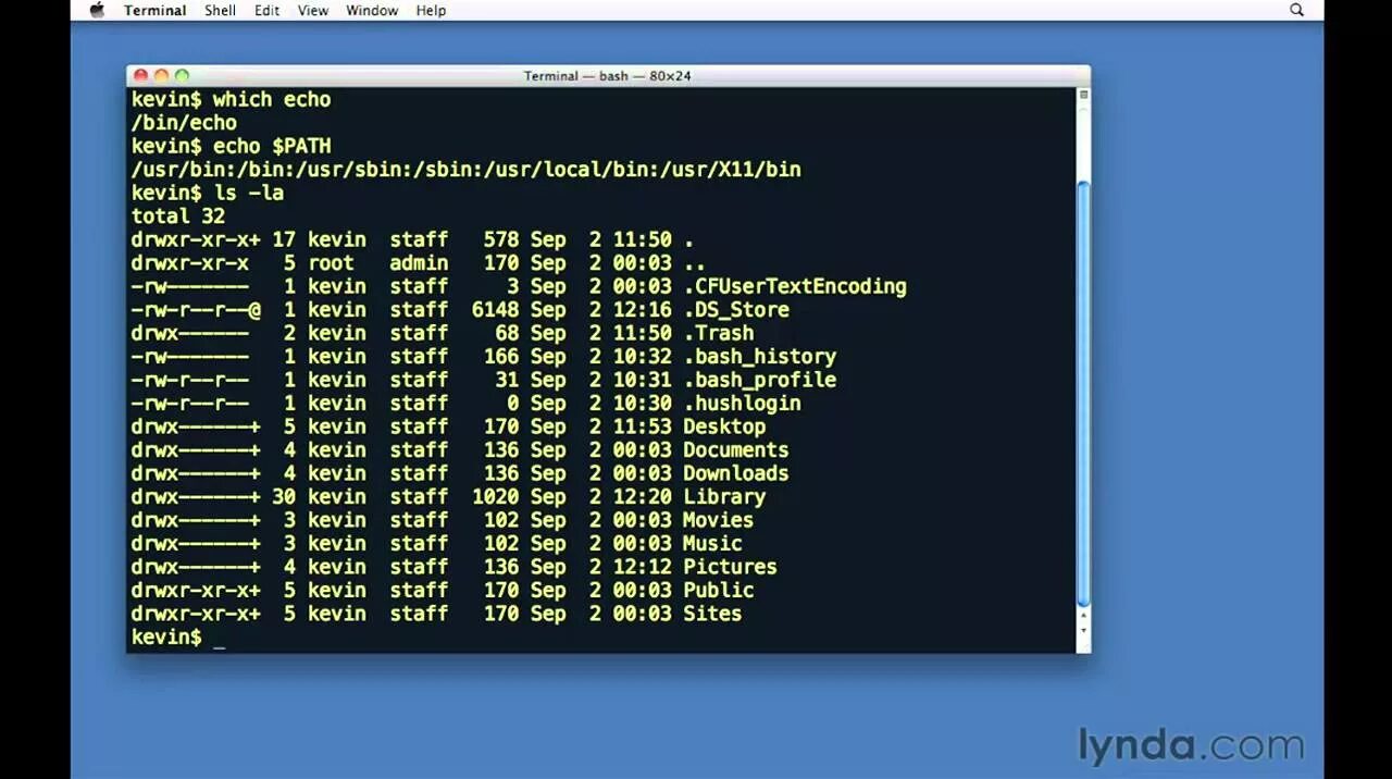 Echo path. Linux path. Echo linux. Echo linux. Переменные в bash.
