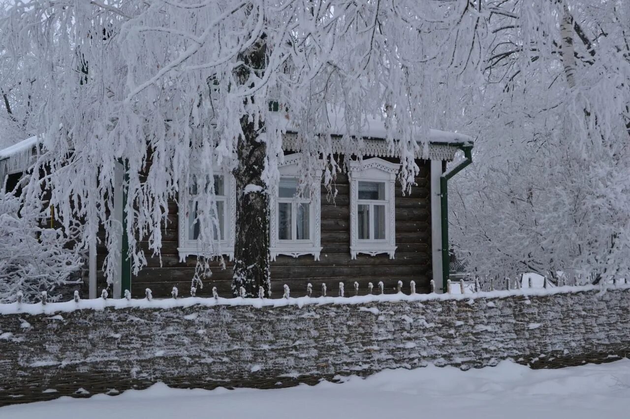 Белая берёза под моим. Белая береза есенин константиново. Белая береза под илтм окнлм. Белая береза деревня новости. Береза зима есенин.