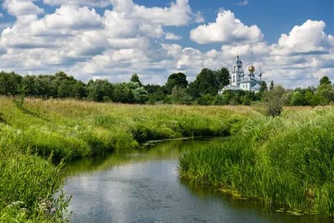 В могучих борах