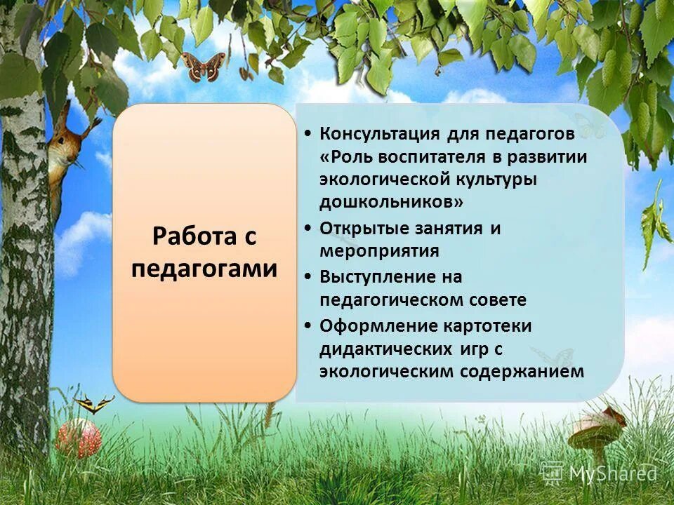 Роль человека в саду. Темы по экологическому воспитанию дошкольников для педагогов. Воспитатель экологической культуры. Воспитание экологической культуры. Важность экологического воспитания.