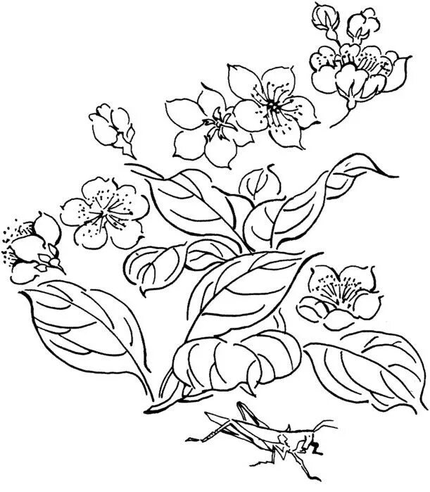 Шаблон рисунка цветы. Трафарет "цветы". Цветок для раскрашивания детям. Раскраска. Цветок рисунок шаблон.