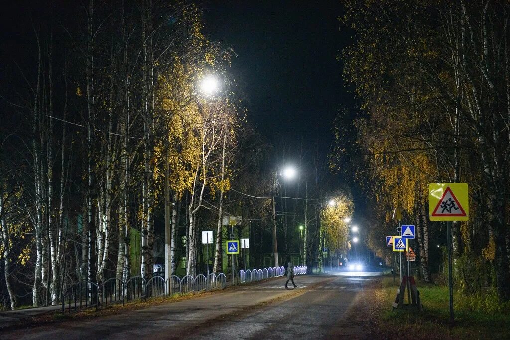 Эжва лесная. Природа сыктывкара и окрестностей. Эжва лесная. In forest сыктывкар. Параськины озера ухта.