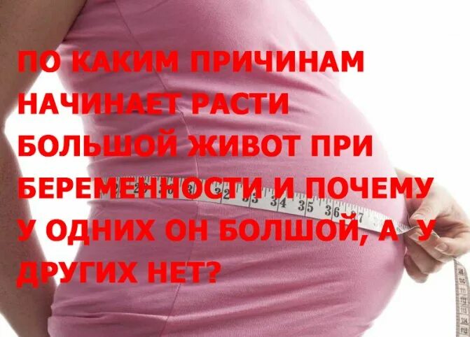 На какой неделе беременности растет живот. Срок беременности по животу. Когда начинает расти живот при беременности. Твёрдый живот при беременности 2 триместр. При беременности живот твердеет на ранних сроках.