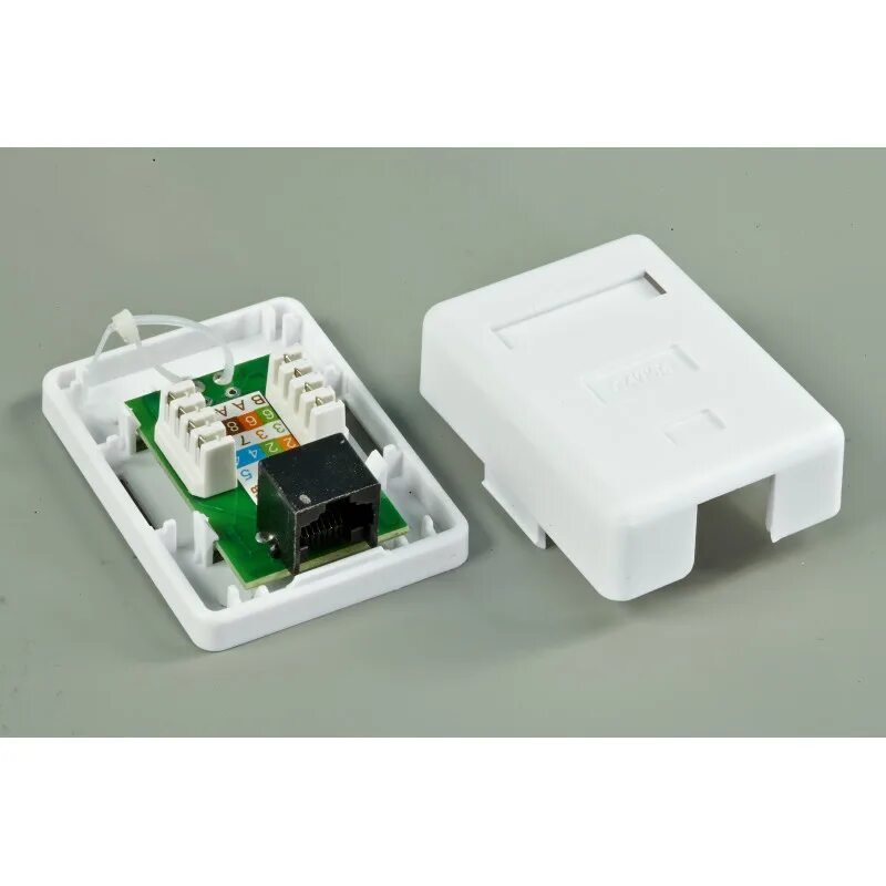Розетка настенная netlan 2 порта, кат. Розетка hyperline sb2-1-8p8c-c5e-wh. Розетка компьютерная rj-45 8p8c категория 6 одинарная внешняя dual idc. Розетка компьютерная rj 45 2 8p8c. Компьютерная розетка категория 6 / категория 6а iso.